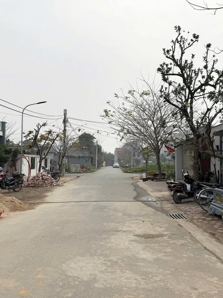 Đất nền khu 6, Tam Nông, Phú Thọ 196,5m² - Cơ hội đầu tư tuyệt vời!