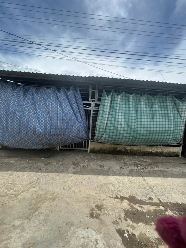 Đất nền Tân Phú, Châu Thành, An Giang 112m² giá 550 triệu - Tặng ngay 2 căn nhà mới!