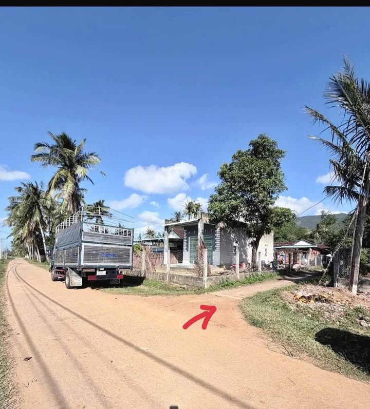 Đất nền tại Xã Mỹ Phong, Huyện Phù Mỹ 300m² - Giá tốt, vị trí đắc địa!