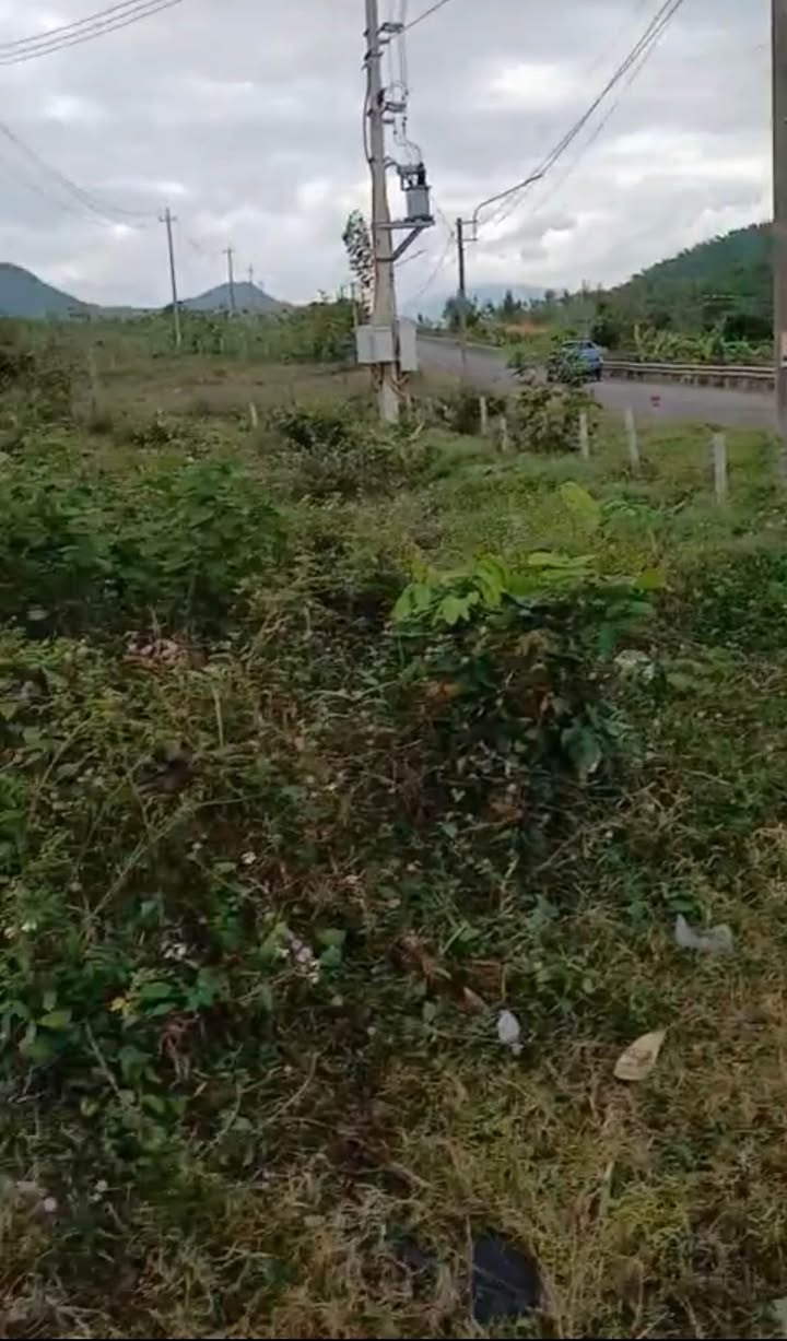 Đất nền Canh Hòa Vân Canh 1900m² giá chỉ 800 triệu - Sổ đỏ chính chủ