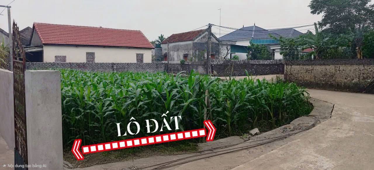 Đất nền Diễn Hoàng 147m² giá thỏa thuận - Đầu tư sinh lời hấp dẫn!