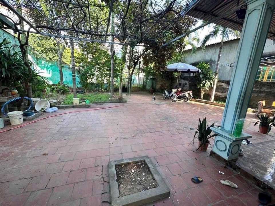 Đất nền + Nhà vườn 2 tầng KDC số 2, Bắc Giang 420m² - Giá thương lượng hấp dẫn!