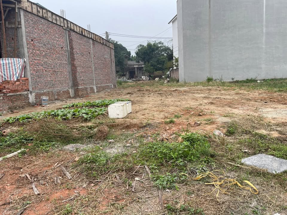 Biệt thự Đồi Măng Thanh 204m² - Vị trí vàng, giá 8.16 tỷ, Phú Thọ