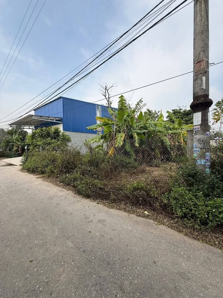 Đất nền mặt đường nhánh Vũ Hữu Lợi, 168m² giá 2.324 tỷ - Sẵn sàng đầu tư ngay!