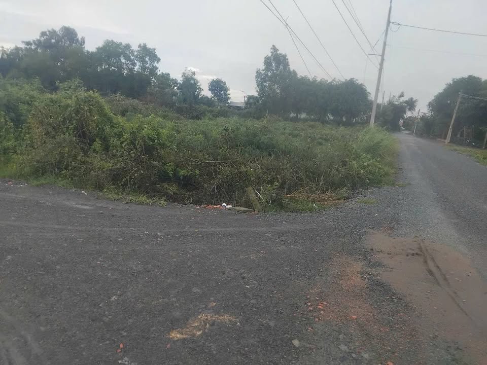 Đất nền Cần Giuộc Long An 2400m² giá 6 tỷ - Đầu tư sinh lời ngay sát cảng!