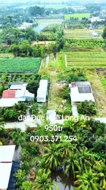 Đất thổ cư Đức Huệ 303m² - Sổ hồng riêng, xây nhà vườn lý tưởng