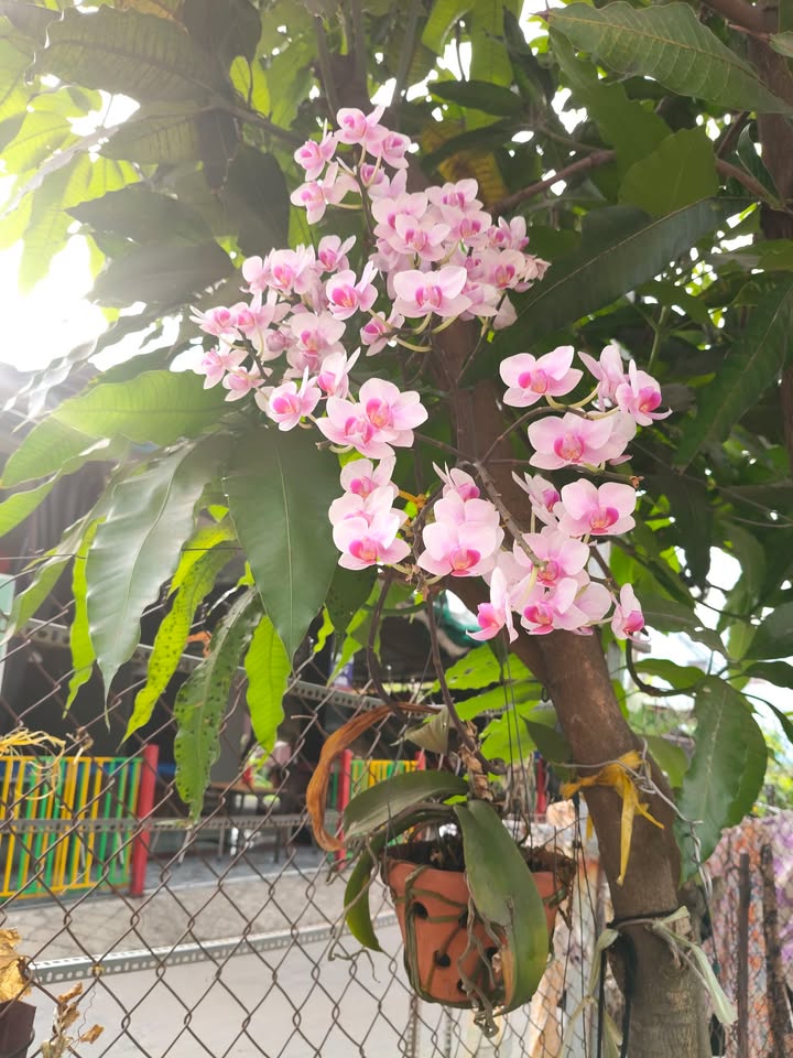 Nhà mặt tiền kinh doanh Tỉnh Lộ 10, Bình Tân 108m² giá 10 tỷ - Cơ hội hiếm có!