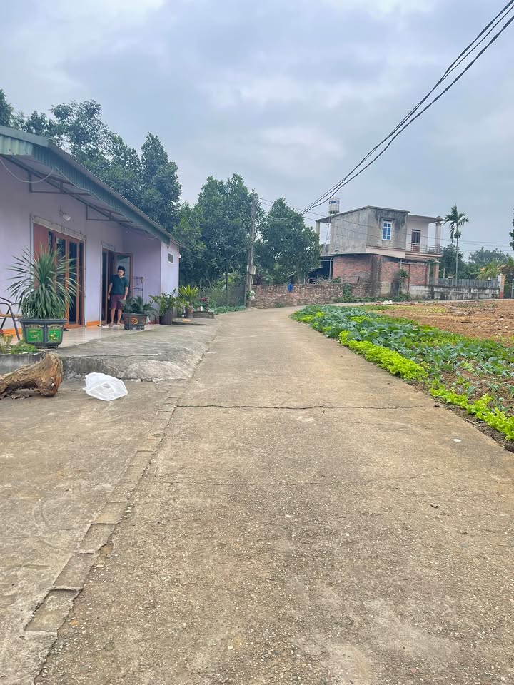 Đất nền thổ cư 90m² tại Thanh Đình, Phú Thọ chỉ 800 triệu - Đầu tư sinh lời ngay!