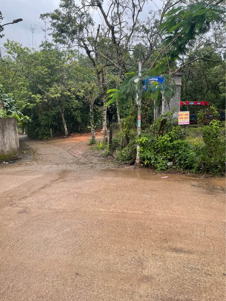 Đất nền chính chủ Thủy Xuân 100m² giá 1.2 tỷ - Cơ hội đầu tư tuyệt vời!