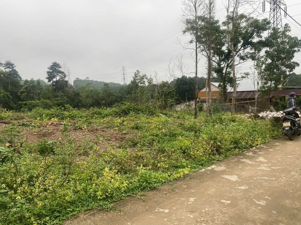 Đất nền Làng An Việt, Thủy Bằng 1914m² giá 15.3 tỷ - Tiềm năng đầu tư du lịch!