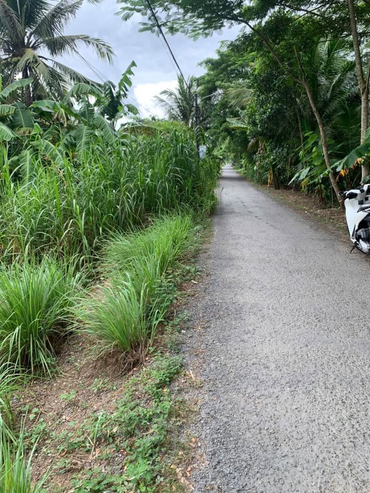 Đất nền mặt tiền Chông Chác, Sóc Trăng 240m² giá chỉ 400 triệu - Cơ hội vàng cho đầu tư!