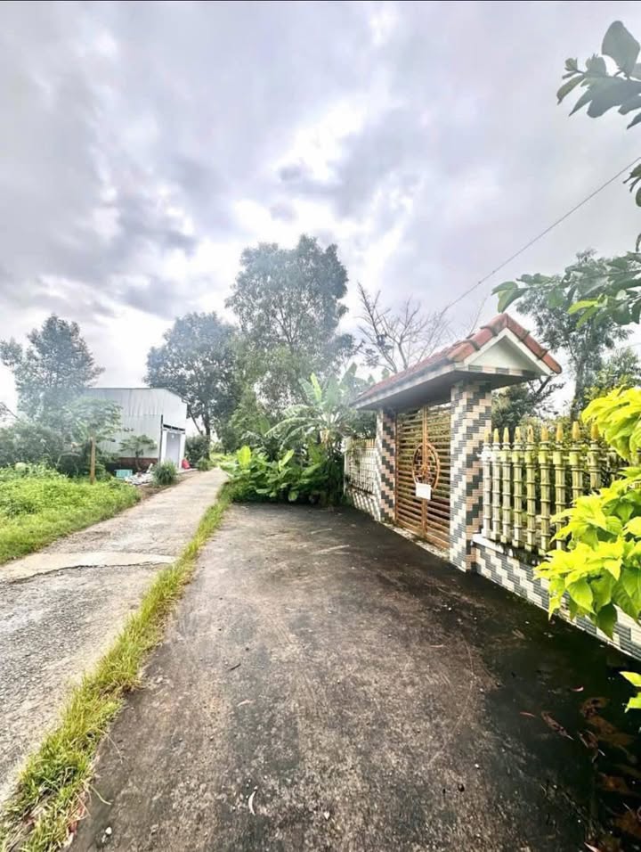 Đất nông nghiệp đường Kênh Sáng Bạch Ngưu, Cà Mau 680m² - Sổ đỏ chính chủ, giá tốt!