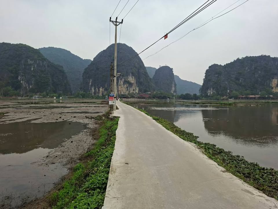 Đất Homestay Ninh Hải - Ninh Bình 2000m² giá 25 tỷ - Sẵn sàng xây dựng ngay!