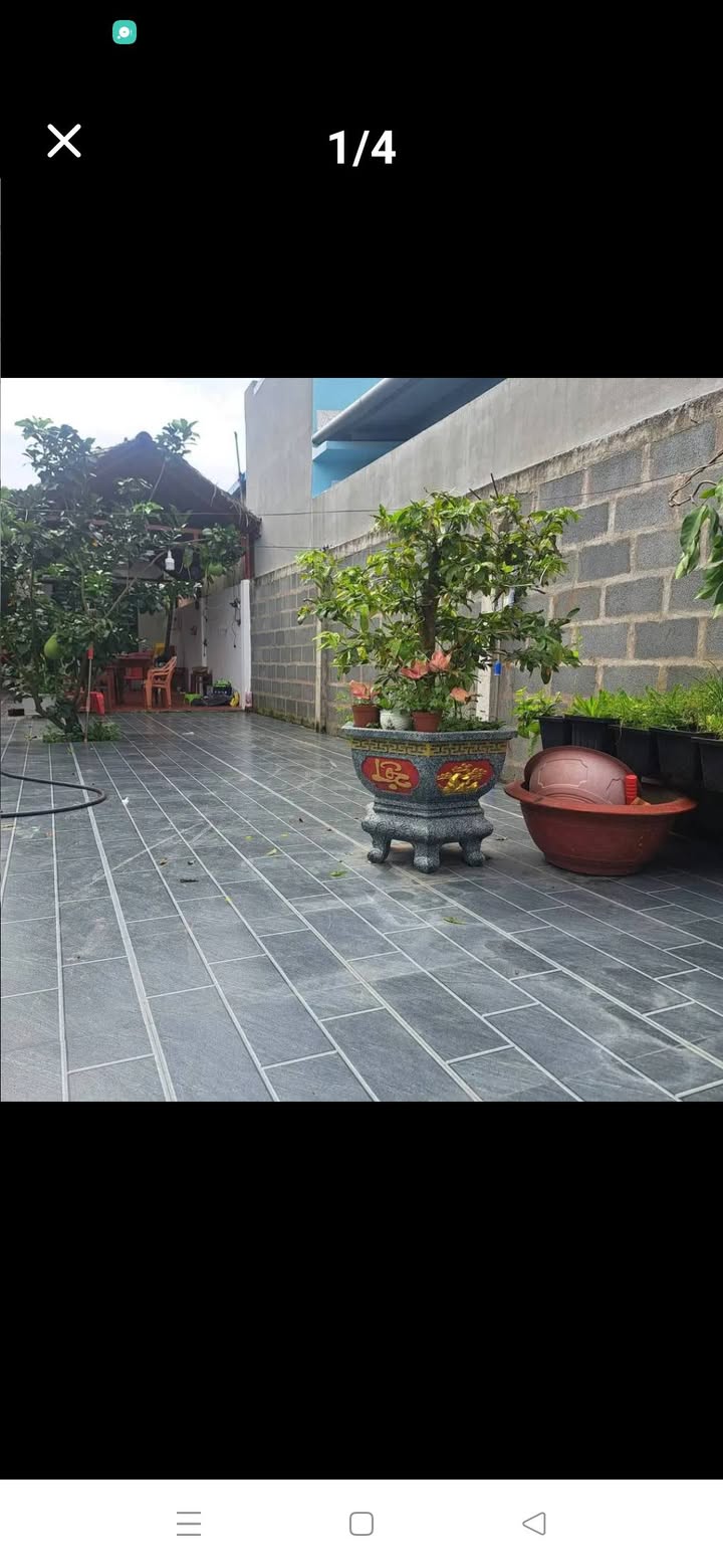 Nhà Vườn Mỹ Phong, Mỹ Tho - 140m² Full Thổ Cư, Sẵn Sàng An Nhiên