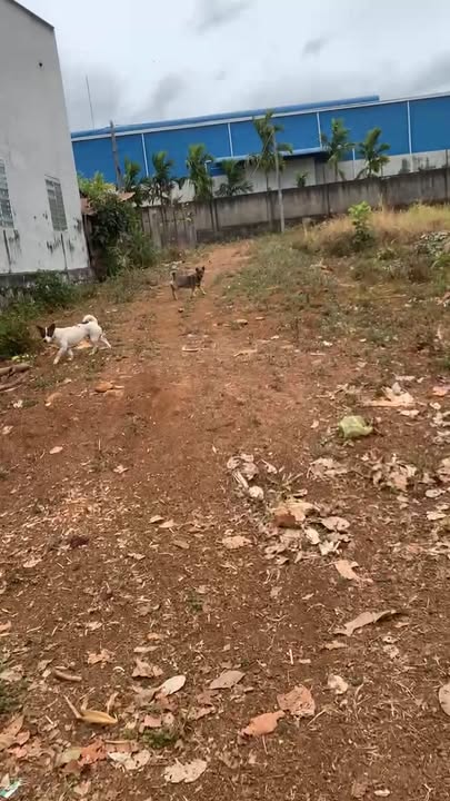 Đất thổ cư 1.120m² gần Quốc Lộ 14, Hòa Khánh - Giá tốt chỉ 1.45 tỷ!