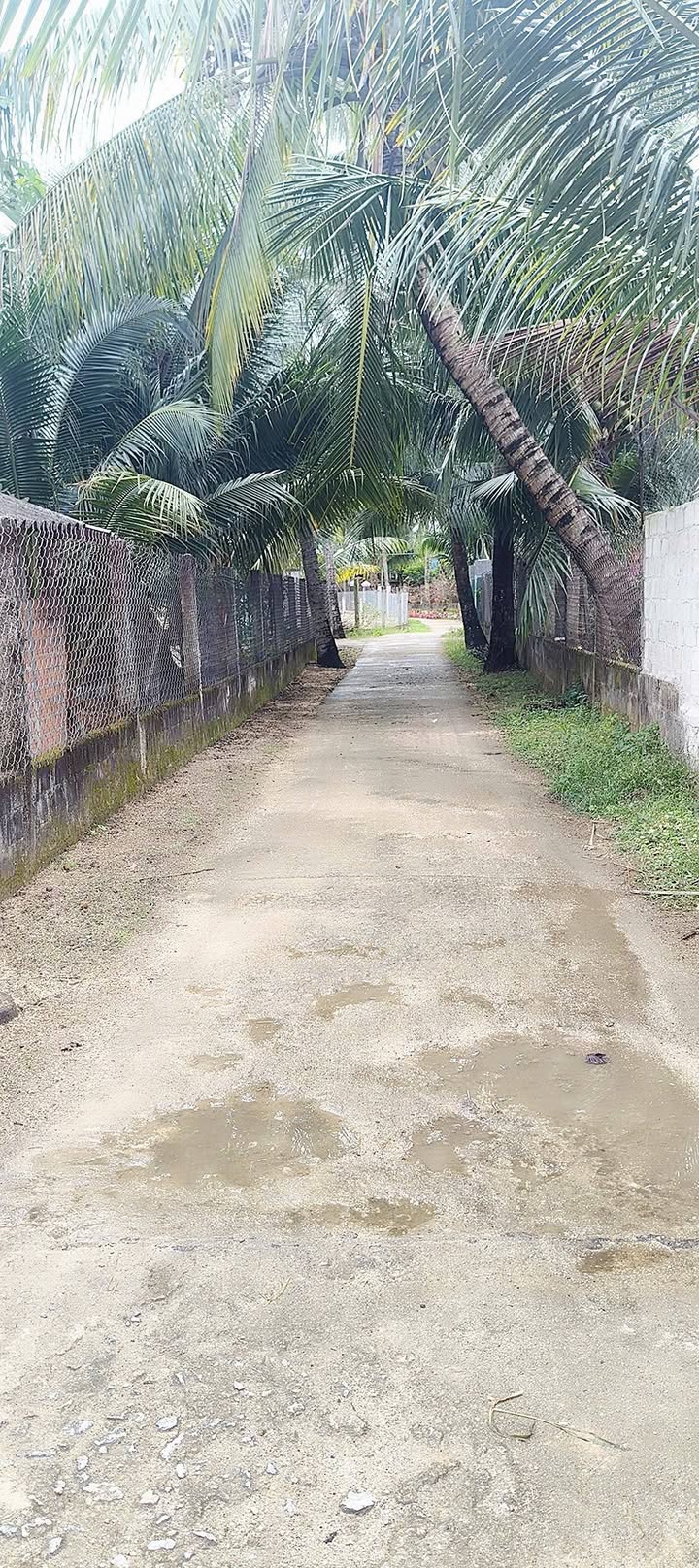 Đất thổ cư Hoài Châu 330m² giá 390 triệu - Sổ hồng chính chủ, đường ô tô