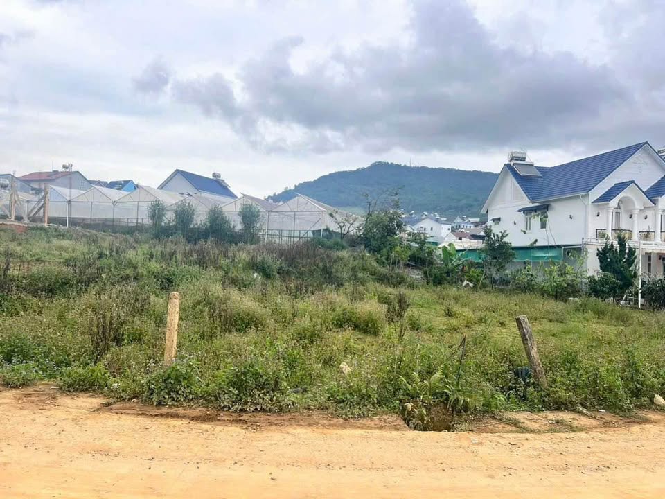 Đất sổ đỏ phường Langbiang Đà Lạt 136,7m² giá 2,55 tỷ - Đường bê tông ô tô