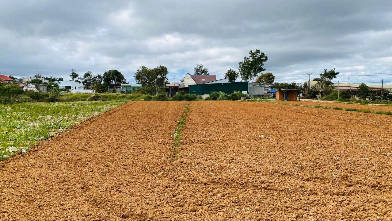 Đất nền 2100m² Ka Đơn, Đơn Dương, Lâm Đồng - Giá chỉ 1.3 tỷ, đầu tư sinh lời!