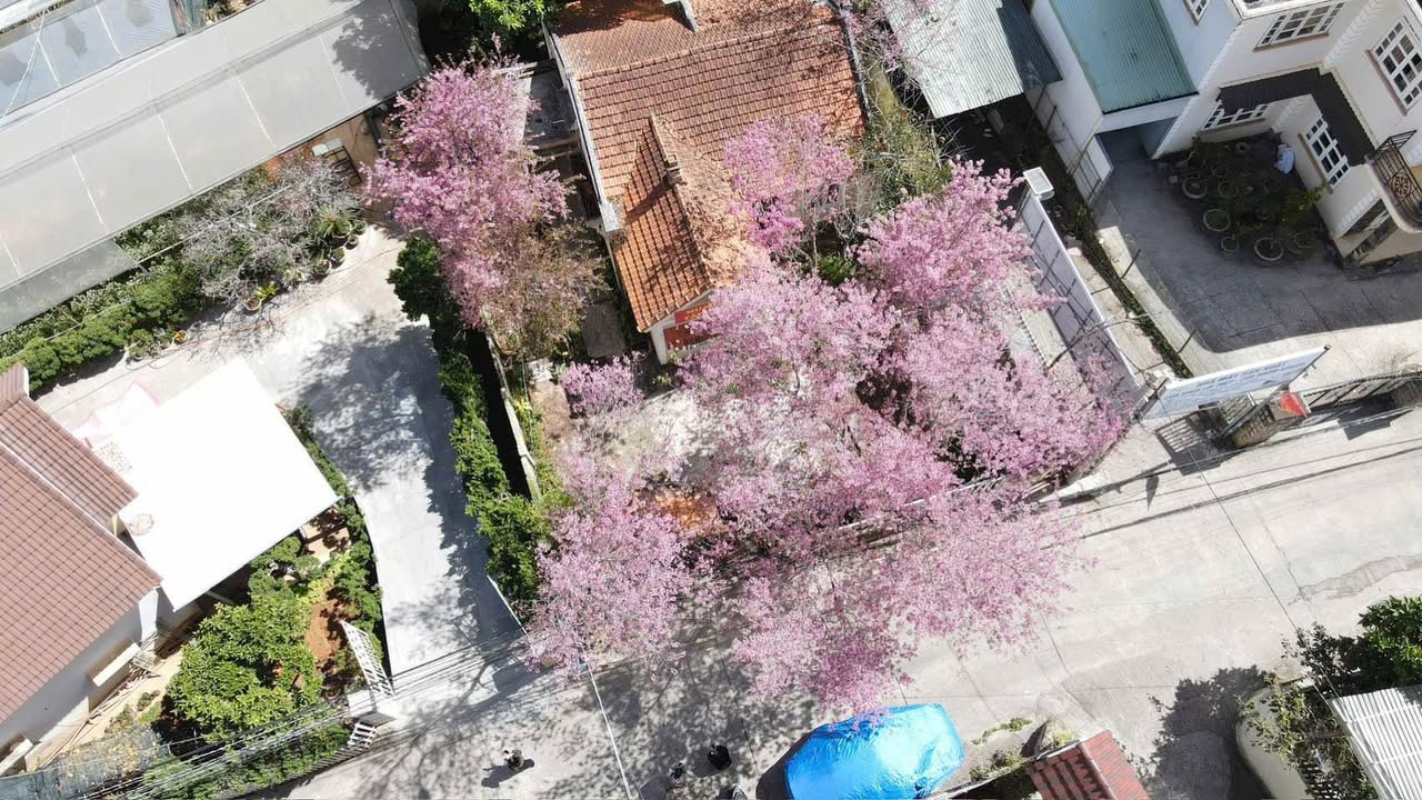 Đất tặng villa 400m² tại Đà Lạt chỉ 16 tỷ - Đầu tư sinh lời ngay!