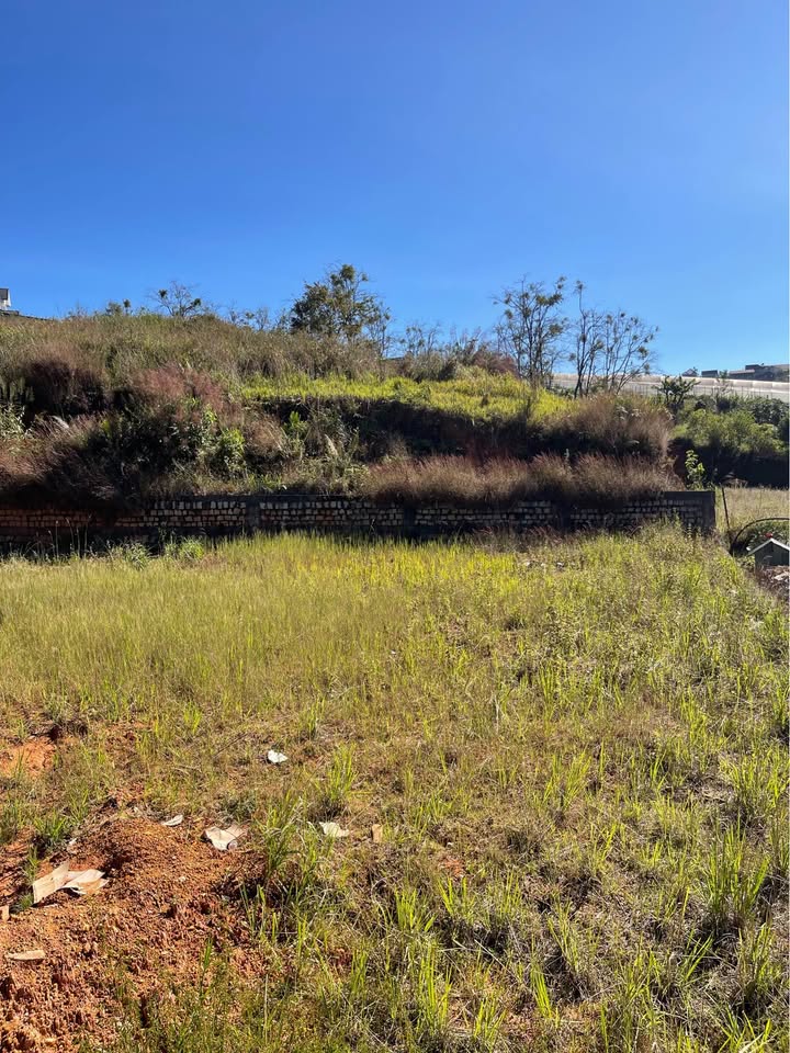 Đất nông nghiệp 300m² xã Đạ Sar, Lạc Dương chỉ 700 triệu - Sổ riêng, sang tên nhanh!