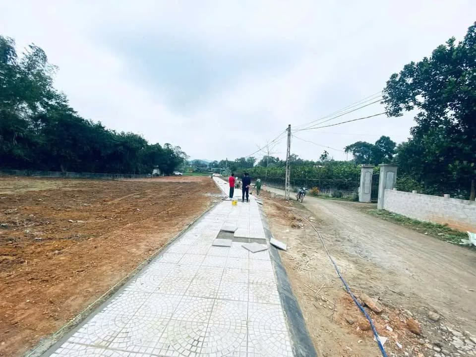 Đất thổ cư Thôn 9, Thọ Bình 122,8m² giá 300 triệu - Cơ hội đầu tư hiếm có!