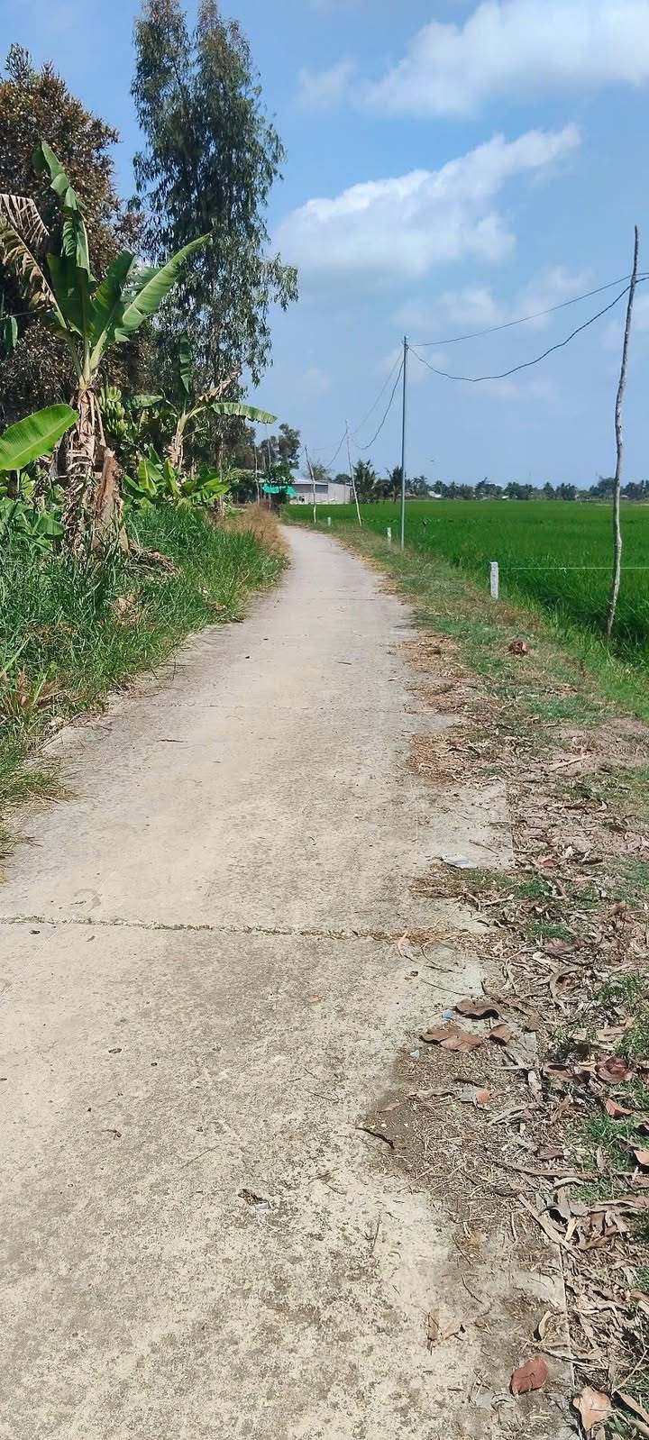 Đất nền 1550m² tại Ấp 7, Xã Vĩnh Hòa Hưng giá chỉ 299 triệu - Cơ hội đầu tư tuyệt vời!