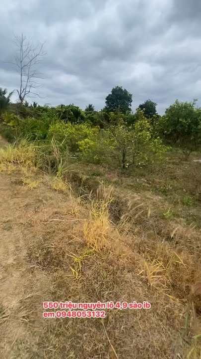 Đất Farm Thôn 12 Cư Knia 4900m² giá chỉ 550 triệu - Đầu tư sinh lời hấp dẫn!