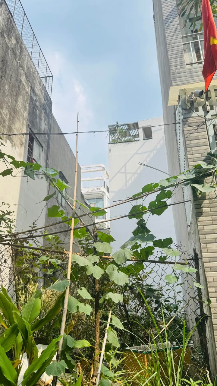 Đất nền hẻm xe hơi An Hội Đông, Gò Vấp 67m² giá chỉ 4.5 tỷ - Cơ hội đầu tư không thể bỏ lỡ!