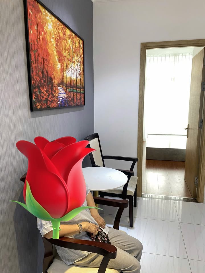 Căn hộ Marina Mỹ Bình 29m² - 800 triệu, Sẵn Sàng Vào Ở Ngay