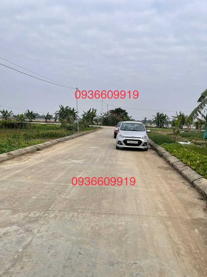 Đất nền tại xã Lê Hồng, huyện Thanh Miện, 180m², giá chỉ 2 tỷ - Cơ hội đầu tư hấp dẫn!