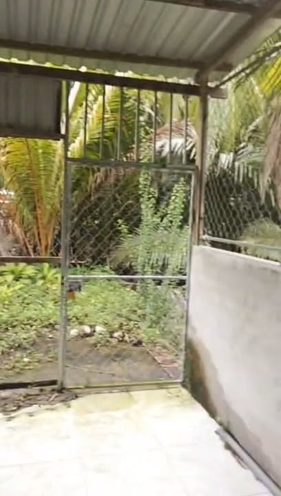 Đất nền xã Long Mỹ, huyện Giồng Trôm, Bến Tre - 522m² giá 520 triệu - Cơ hội đầu tư hấp dẫn!