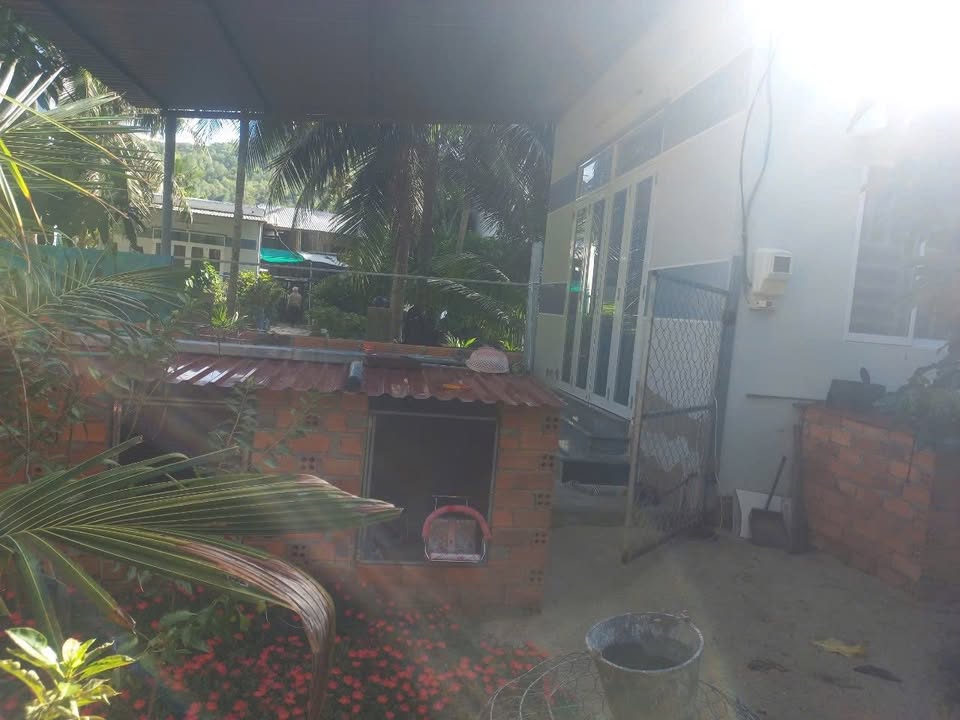 Nhà vườn cho thuê tại Ngọc Hiệp, Nha Trang 300m² - Giá chỉ 4 triệu/tháng!