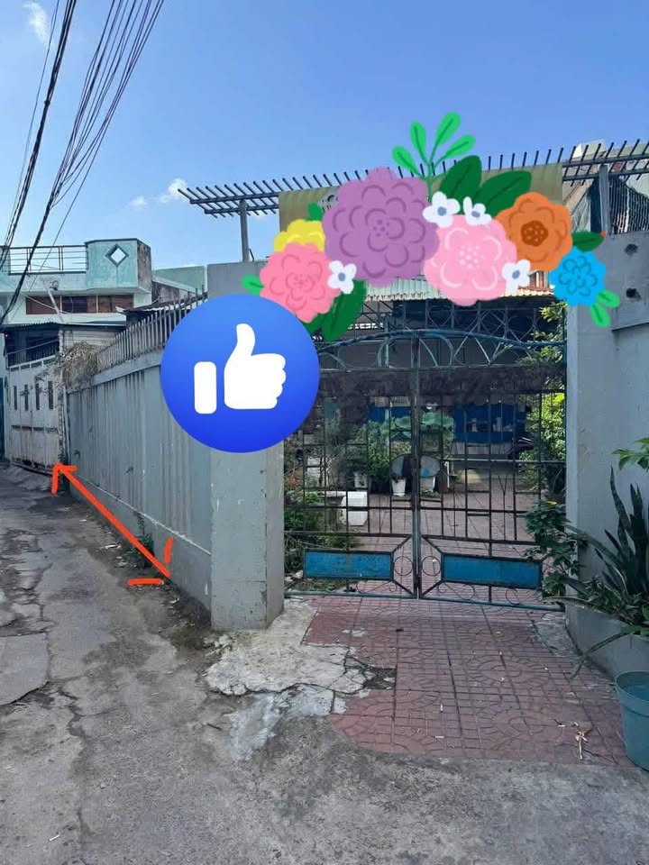 Đất nền Hẻm Cạn Đường Võ Mười, Tuy Phước 63,6m² giá 2.85 tỷ - Cơ hội đầu tư hấp dẫn!