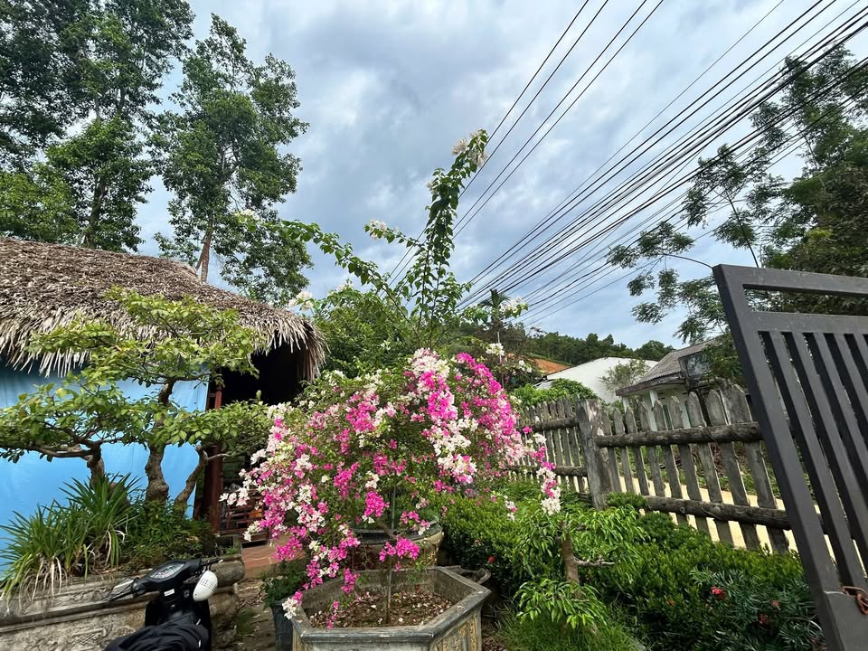 Farm nghỉ dưỡng Yên Bái 13092m² giá 12 tỷ - Cơ hội sở hữu không thể bỏ lỡ!