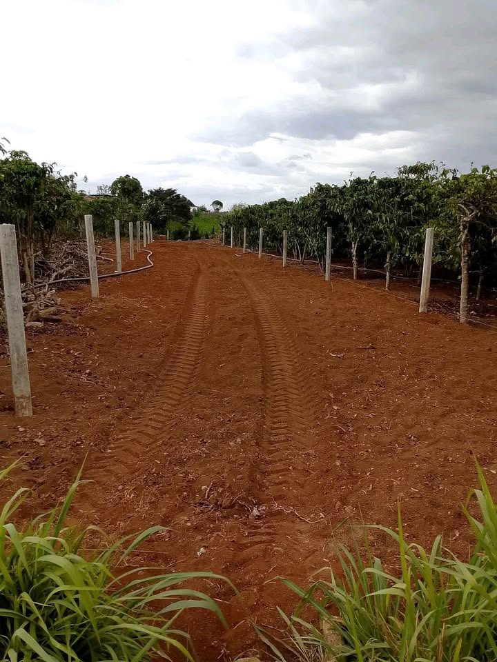 Đất thổ cư Tân Phú, Đức Trọng 378m² giá 900 triệu - Đầu tư sinh lời!