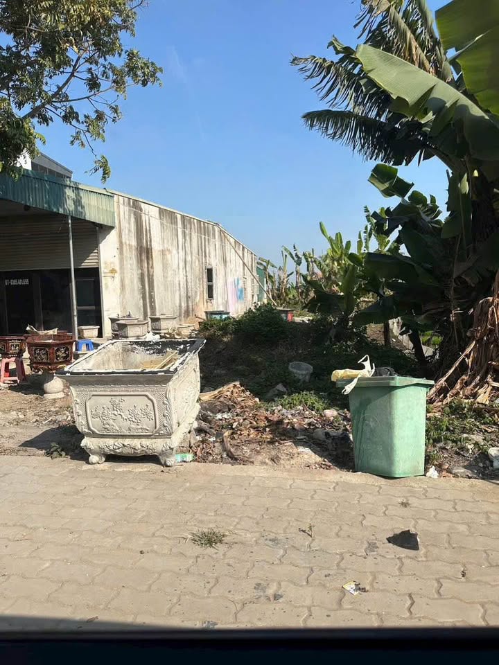 Đất nền xã Đông Quang 125m² giá thỏa thuận - Kinh doanh sinh lời cao!