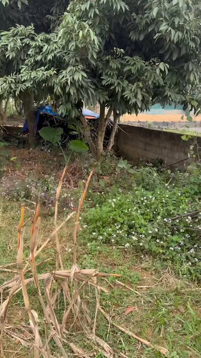 Đất nền 3200m² tại Hưng Thi, Lạc Thủy - Giá chỉ 4.8 tỷ, cơ hội đầu tư tuyệt vời!