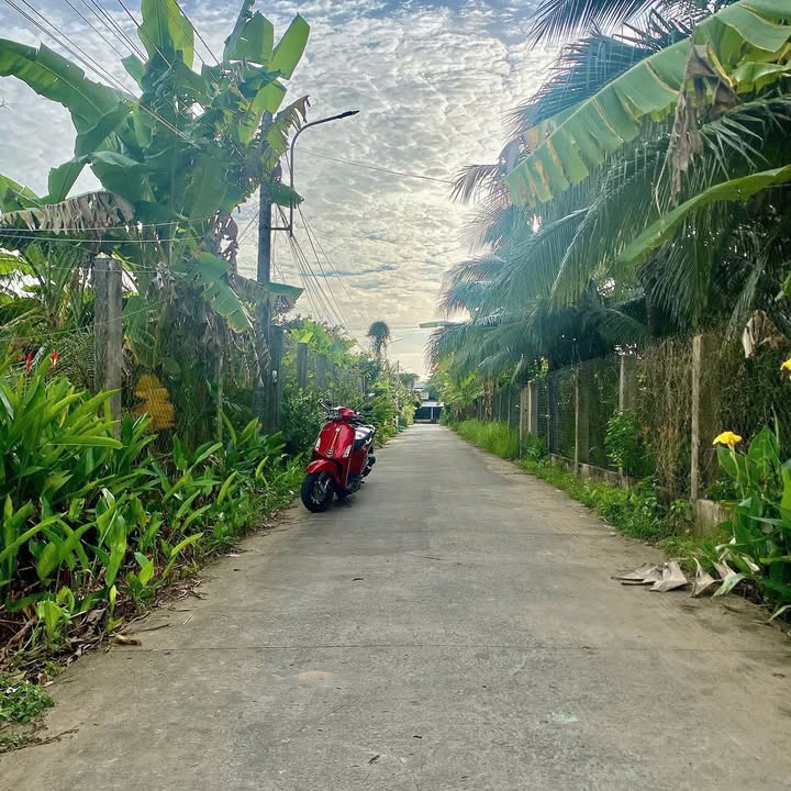 Đất nền mặt tiền đường Lộ Đan, Phường An Hội, 100m² giá 550 triệu - Cơ hội đầu tư hấp dẫn!