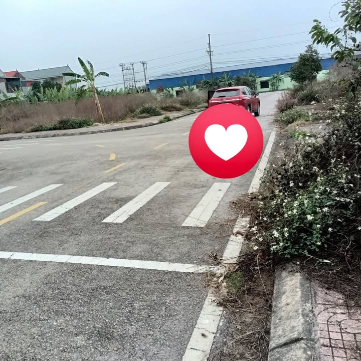 Đất nền 2 mặt tiền Tân Phong, Thanh Hóa - 160m², 1 tỷ - Đầu tư sinh lời