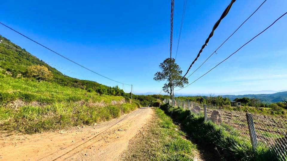 Đất nền 4.000m² tại Xã Lộc Nam, Bảo Lâm - Giá chỉ 2 tỷ, đầu tư sinh lời!