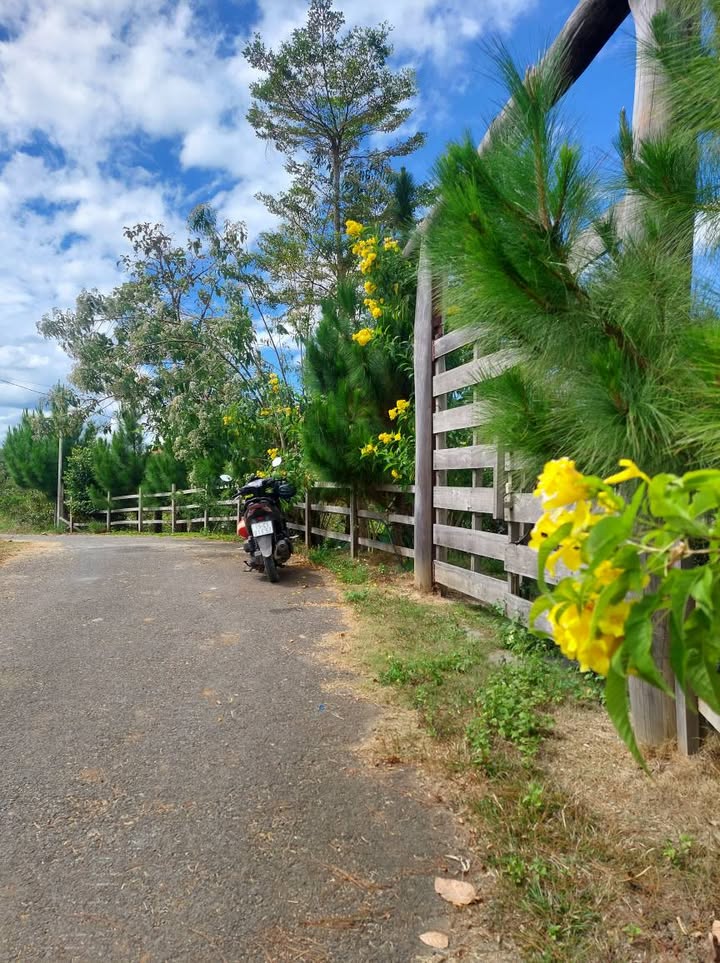 Farmstay Bảo Lâm 1900m² giá 6.5 tỷ - Đầu tư sinh lời hấp dẫn!