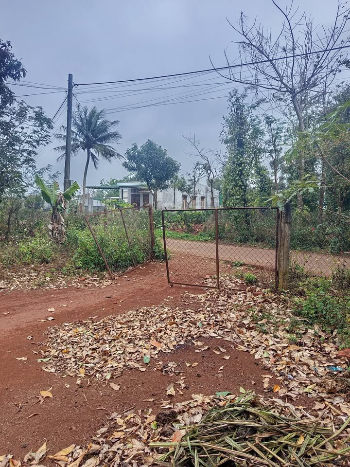 Đất thổ cư 300m² tại buôn Sưk, huyện Krông Pắc - Giá tốt thương lượng!