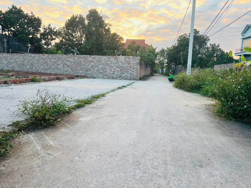 Đất nền 98m² tại thôn Đan Tảo, Sóc Sơn - Giá thỏa thuận, cơ hội đầu tư tốt!