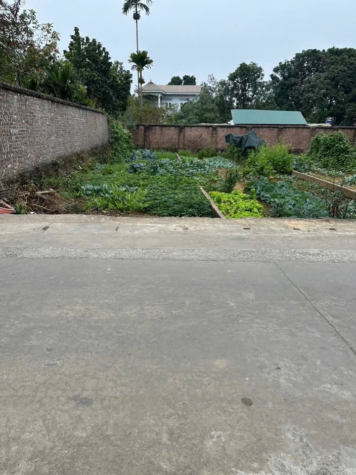 Shophouse 95m² tại Tân Minh - Đầu tư sinh lời ngay tại trục chính kinh doanh!