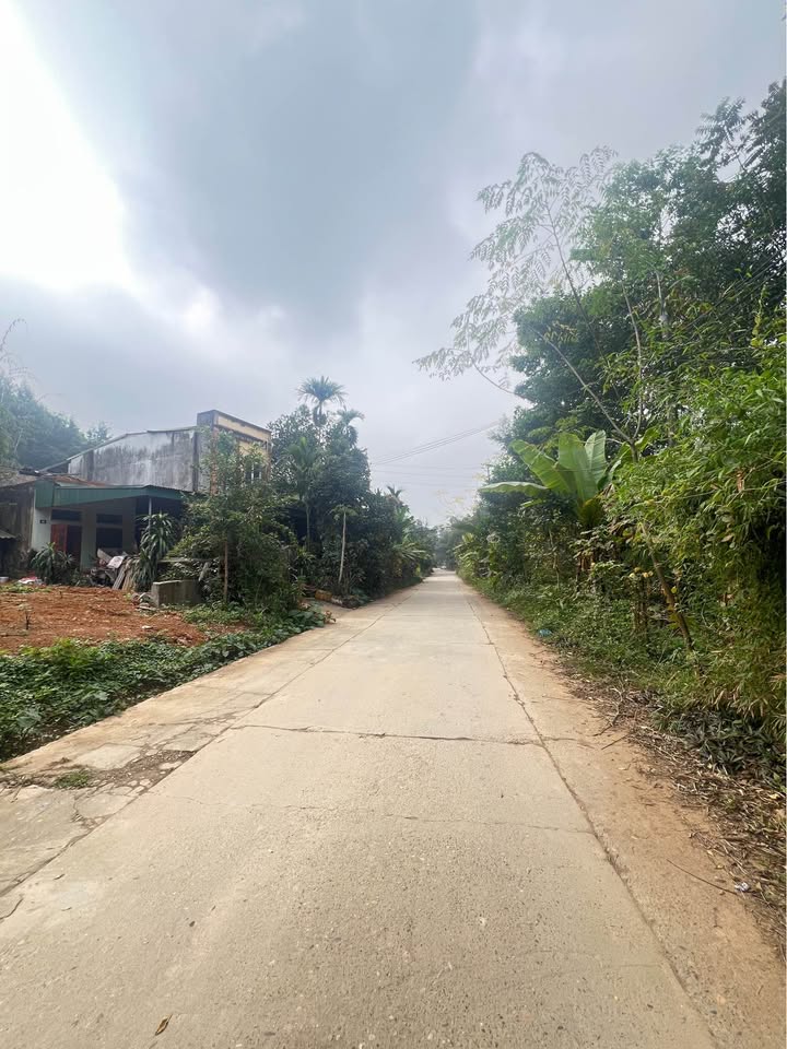 Đất thổ cư Tổ 13 Hưng Thành 400m² giá 3 tỷ - Đầu tư sinh lời tuyệt vời!