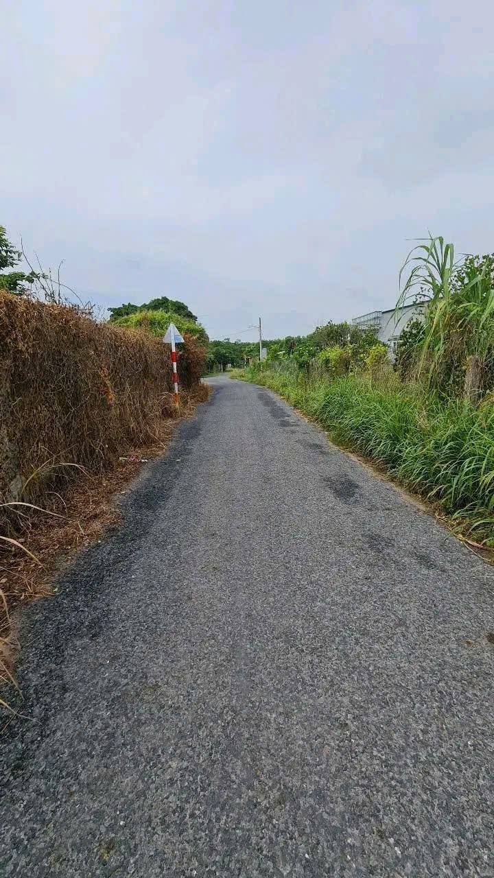 Đất thổ cư 150m² mặt tiền nhựa giá 790 triệu tại Trảng Bàng - Cơ hội đầu tư tuyệt vời!