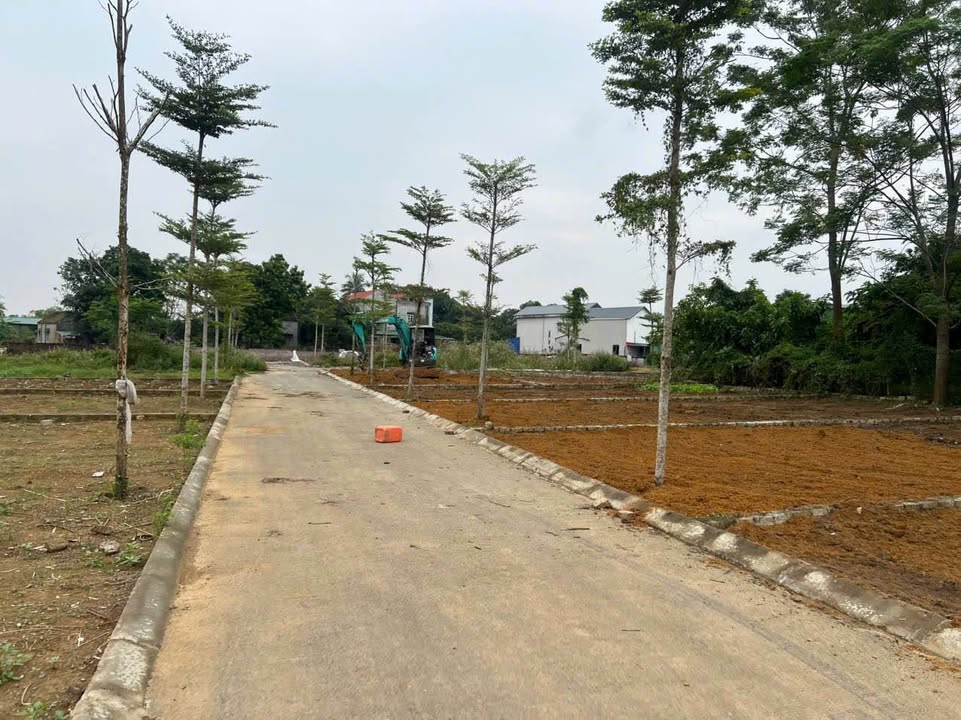 Đất thổ cư Phú Cát, Quốc Oai 100m² giá 2 tỷ - Bán gấp trước Tết!