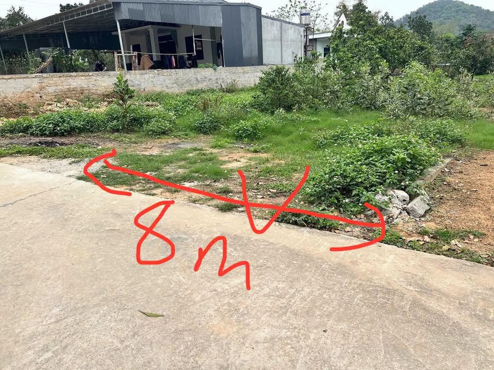 Đất nền xóm Bướm, phường Xuân Khanh, Sơn Tây, 245m² - Dân trí cao, cơ hội đầu tư hấp dẫn!