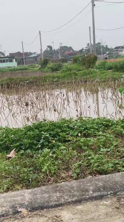 Đất nền Tân Sơn, Đô Lương 157.5m² giá 2 tỷ - Đầu tư sinh lời ngay!