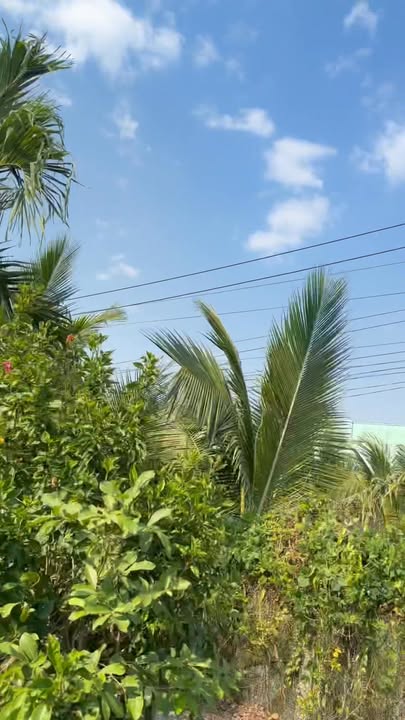 Đất thổ cư 100m² tại Quận 8 - Giá chỉ 500 triệu - Cơ hội đầu tư hấp dẫn!